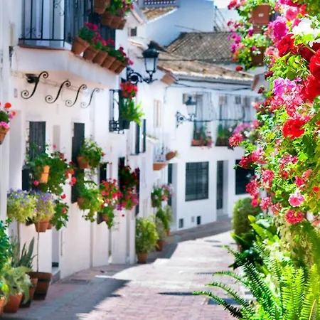 Benalbeach. 1º Linea De Playa.